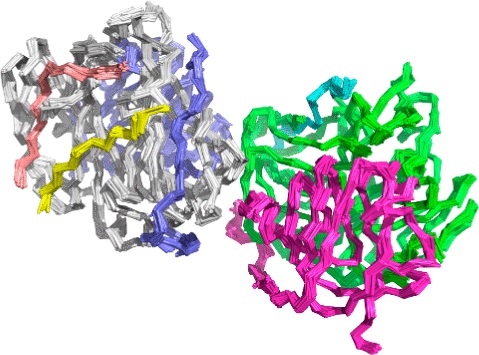 molecular-docking-md simulation-services-edgene-biomed