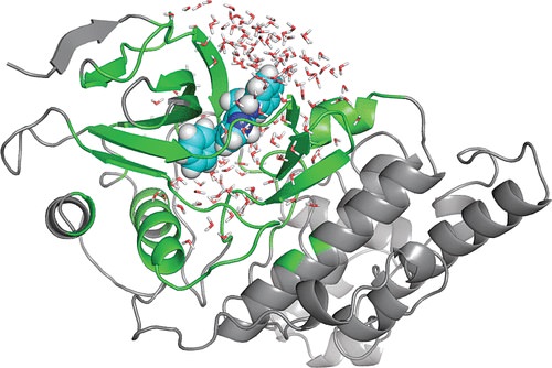 protein-simulation-services-edgene-biomed