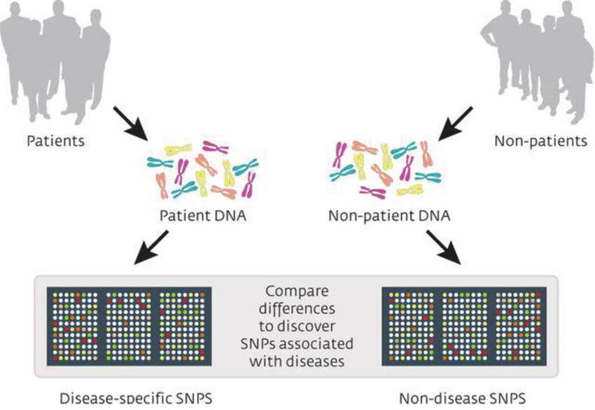 Best Deep Learning for GWAS Course #1