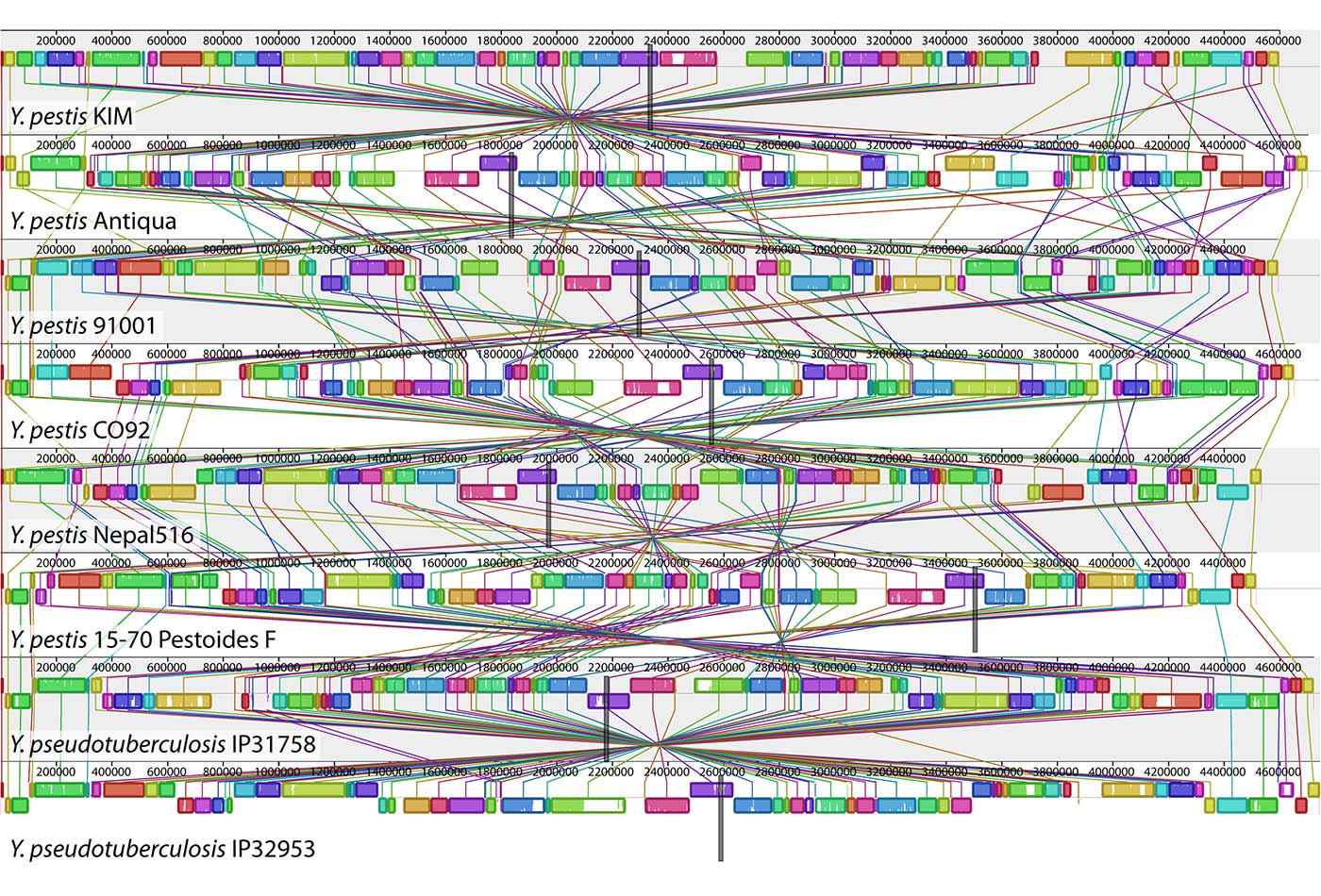 Best Machine Learning for GWAS Course #1