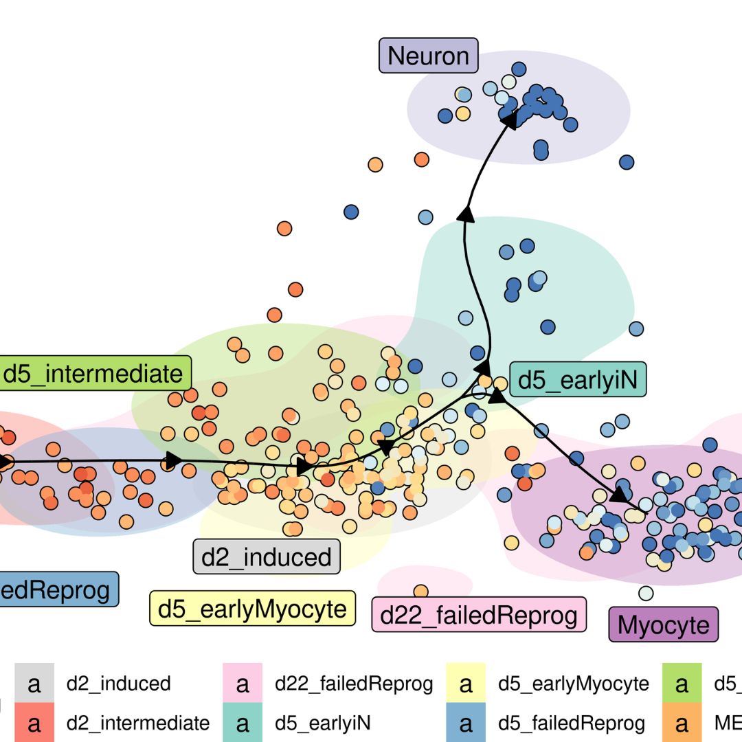 Best GPU Accelerated Single Cell RNA Analysis Masterclass #1