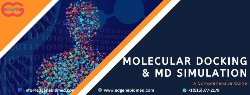 molecular docking & md simulation